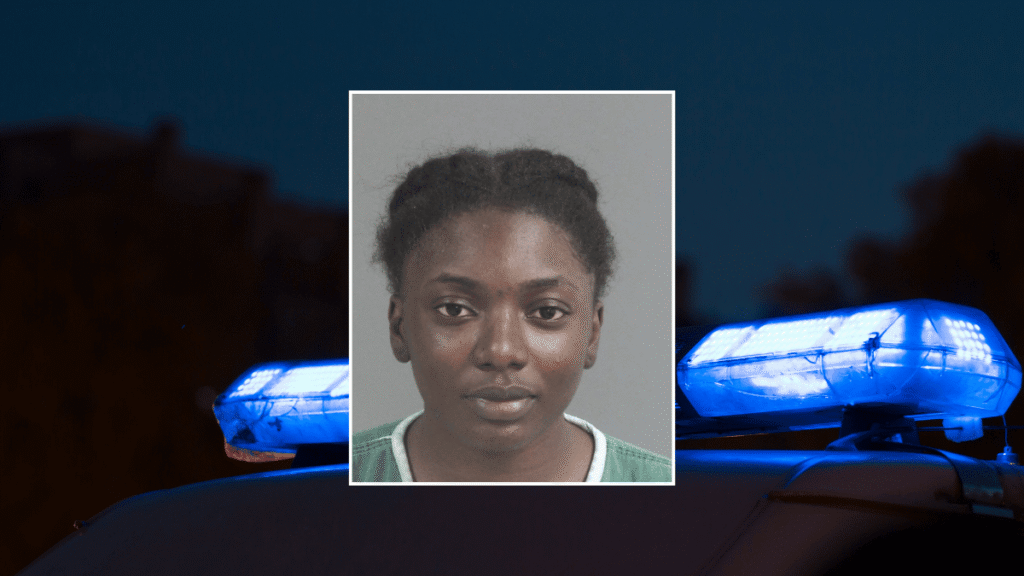 Summerville School Bus Driver Charged With DUI After Police Chase in North Charleston With Her Son on Board